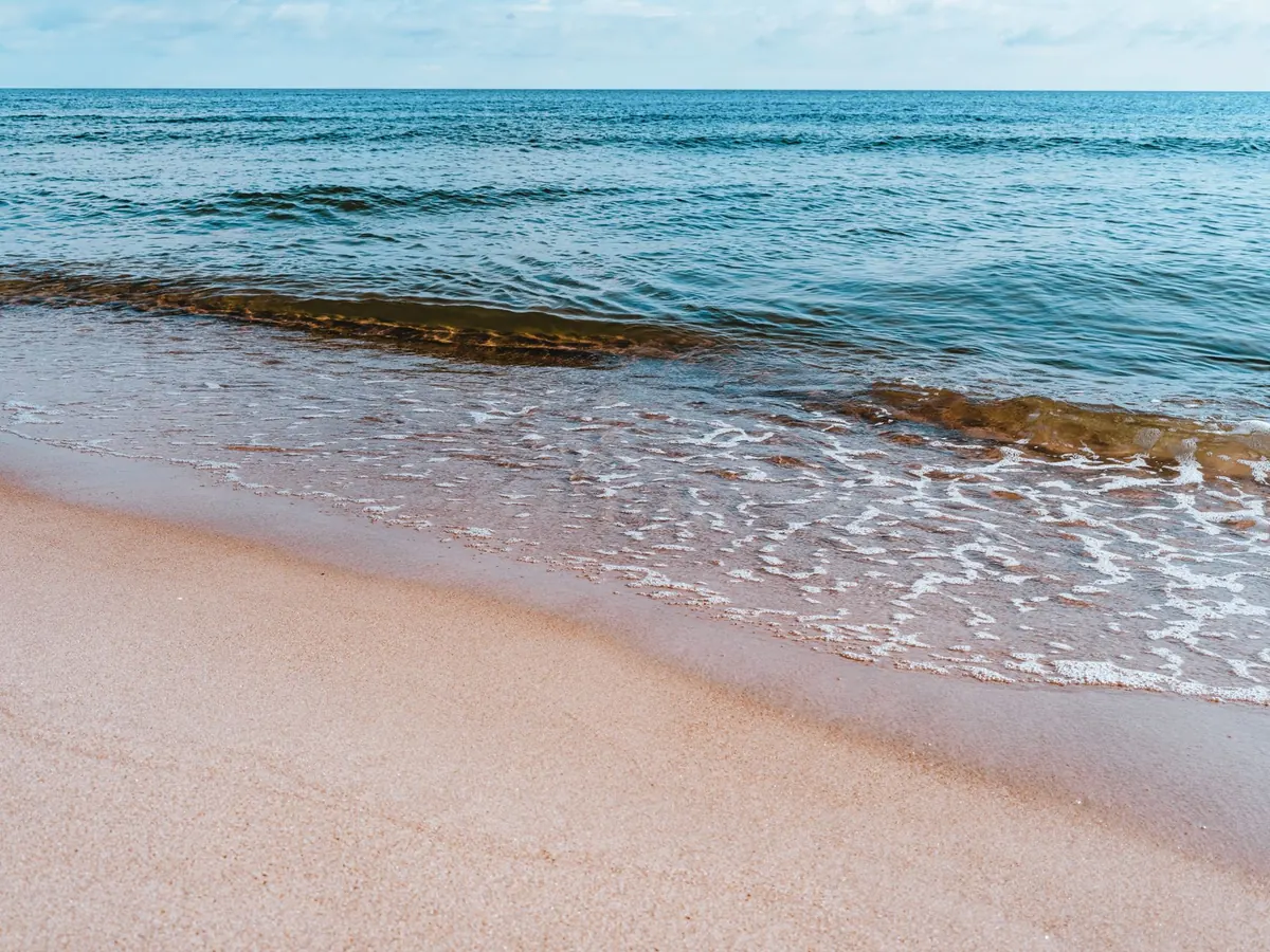 Beach Zonation Explained: Reading the Shore from High Water to Low Water